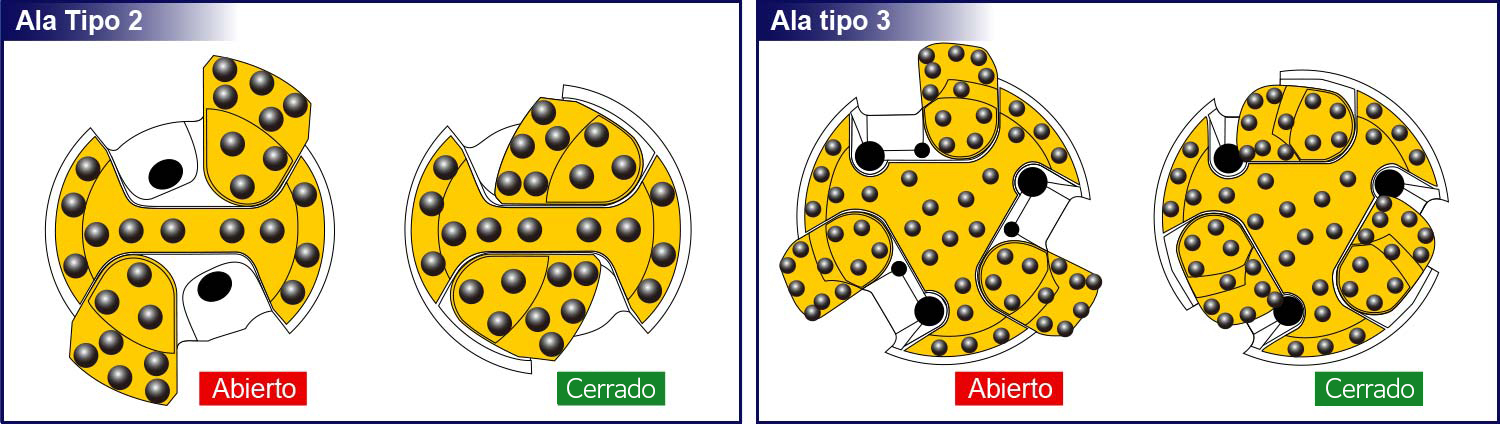 Tipo