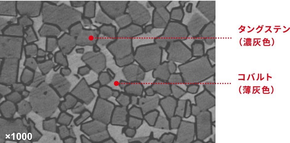 タングステン（濃灰色） コバルト（薄灰色）